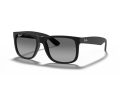 Ray-Ban Justin Solbriller 4165 622/T3