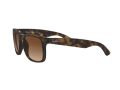 Ray-Ban Justin Solbriller RB 4165 710/13