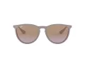 Ray-Ban Erika Solbriller RB 4171 6000/68