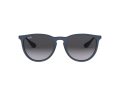 Ray-Ban Erika Solbriller RB 4171 6002/8G