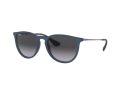 Ray-Ban Erika Solbriller RB 4171 6002/8G