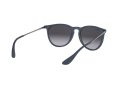 Ray-Ban Erika Solbriller RB 4171 6002/8G