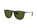 Ray-Ban Erika Solbriller RB 4171 601/2P