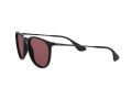 Ray-Ban Erika Solbriller RB 4171 601/5Q