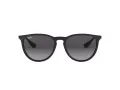 Ray-Ban Erika Solbriller RB 4171 622/8G