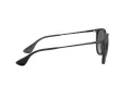 Ray-Ban Erika Solbriller RB 4171 622/T3