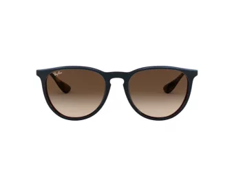 Ray-Ban Erika Solbriller RB 4171 6315/13