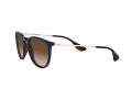 Ray-Ban Erika Solbriller RB 4171 6315/13