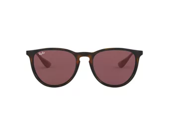Ray-Ban Erika Solbriller RB 4171 6391/75