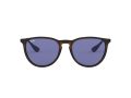 Ray-Ban Erika Solbriller RB 4171 6392/76