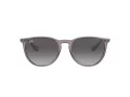 Ray-Ban Erika Solbriller RB 4171 6513/8G