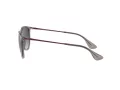 Ray-Ban Erika Solbriller RB 4171 6513/8G