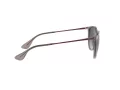 Ray-Ban Erika Solbriller RB 4171 6513/8G