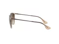 Ray-Ban Erika Solbriller 4171 651413