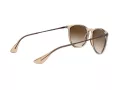 Ray-Ban Erika Solbriller 4171 651413