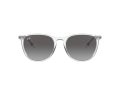 Ray-Ban Erika Solbriller RB 4171 651611