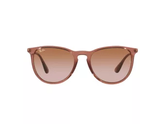 Ray-Ban Erika Solbriller RB 4171 6590/13