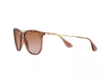 Ray-Ban Erika Solbriller RB 4171 659013