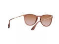 Ray-Ban Erika Solbriller RB 4171 659013