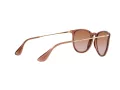 Ray-Ban Erika Solbriller RB 4171 659013