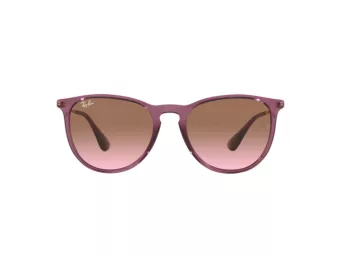 Ray-Ban Erika Solbriller RB 4171 659114