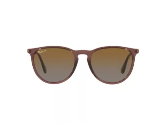 Ray-Ban Erika Solbriller RB 4171 6593/T5