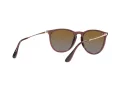 Ray-Ban Erika Solbriller RB 4171 6593T5