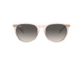 Ray-Ban Erika Solbriller RB 4171 674211