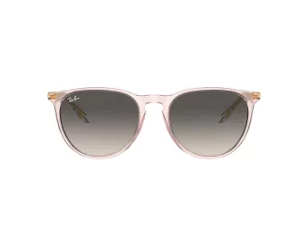 Ray-Ban Erika Solbriller RB 4171 674211