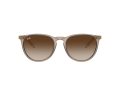 Ray-Ban Erika Solbriller RB 4171 674413