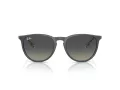 Ray-Ban Erika Solbriller RB 4171 681311