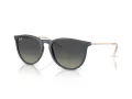 Ray-Ban Erika Solbriller RB 4171 681311