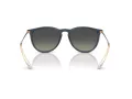 Ray-Ban Erika Solbriller RB 4171 681311