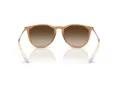 Ray-Ban Erika Solbriller RB 4171 681413