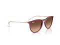 Ray-Ban Erika Solbriller RB 4171 6815A5