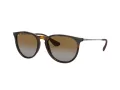 Ray-Ban Erika Solbriller 4171 710/T5
