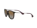 Ray-Ban Erika Solbriller 4171 710/T5
