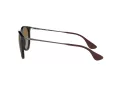 Ray-Ban Erika Solbriller 4171 710/T5
