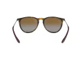Ray-Ban Erika Solbriller 4171 710/T5