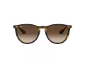 Ray-Ban Erika Solbriller RB 4171 865/13