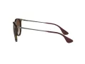 Ray-Ban Erika Solbriller RB 4171 865/13