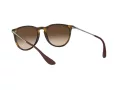 Ray-Ban Erika Solbriller RB 4171 865/13