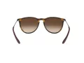 Ray-Ban Erika Solbriller RB 4171 865/13