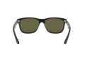 Ray-Ban Rb4181 Solbriller RB 4181 601/9A
