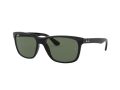 Ray-Ban Rb4181 Solbriller RB 4181 601