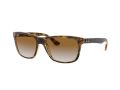 Ray-Ban Rb4181 Solbriller RB 4181 710/51