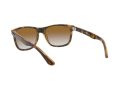Ray-Ban Rb4181 Solbriller RB 4181 710/51