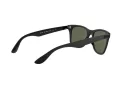 Ray-Ban Wayfarer Liteforce Solbriller RB 4195 601S/9A