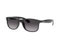 Ray-Ban Andy Solbriller RB 4202 601/8G