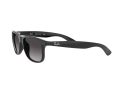 Ray-Ban Andy Solbriller RB 4202 601/8G